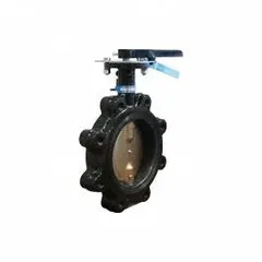This 6-inch cast iron butterfly valve features a concentric, lug-style body with a PTFE seat and a CF8M stainless steel disc. It is rated for a maximum pressure of 200 psi (CWP) and is operated by a lever handle. Suitable for on-off flow control in general-service applications such as water, air, and non-aggressive fluids in industrial piping systems.