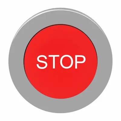 SCHNEIDER Extended Push Button: Red, 30 mm Mounting Size, Metallic - Extended-Length Push-Button Operators