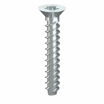 TAMPER-PRUF SCREW Sheet Metal Screw: #0 Size, 3/8 in Lg, Steel, Zinc-Plated, Torx Plus, Flat - Flat Head Sheet Metal Screws