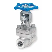 SHARPE Gate Valve: 2 in, 316L Stainless Steel, Rising, FNPT x FNPT, 1,120 psi CWP, Wheel (MPN 4371004180)