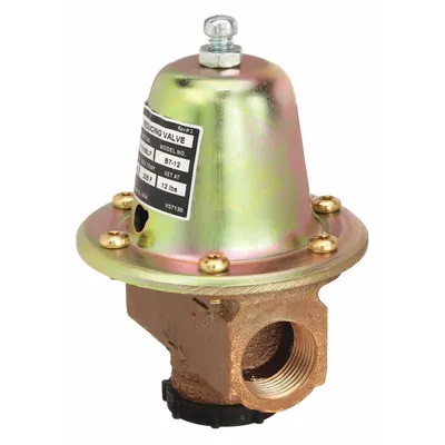 BELL & GOSSETT Standard Capacity Water Pressure Regulator - Standard Capacity Water Pressure Regulators