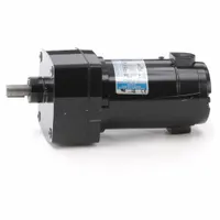LEESON Parallel Shaft Gearmotors: Parallel, 180V DC, TENV, 300 RPM, 10 in-lb Max Torque, 6:1, 0.36 A (MPN M1125033.00)