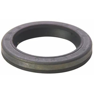 BRIGGS & STRATTON Seal Oil: 299819S - Briggs & Stratton Engine Parts