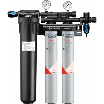 EVERPURE Water Filtration System: 5 micron, 3.3 gpm, FNPT, 25 3/8 in Overall Ht - Multi-Purpose Water Filter Systems