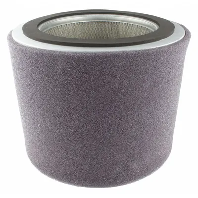SOLBERG HEPA HE374P Air Filter Replacement Element - Air Filter Replacement Elements
