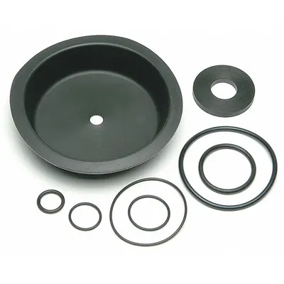 WILKINS Valve Repair Kit RK212-975R - Valve Repair Kits