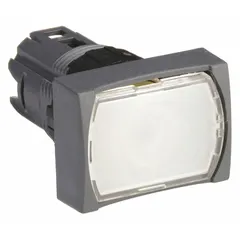Momentary illuminated flush-mount push-button operator from the XB6 series. Features a non-metallic construction suitable for industrial control panels requiring corrosion resistance or electrical isolation. Designed for 16 mm mounting hole.