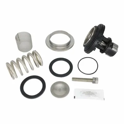 WILKINS Valve Repair Kit RK2-600XL3 - Valve Repair Kits