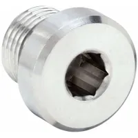 Plug: Plug, 316 Stainless Steel, 1/8 in, Male Threaded, 5,800 psi (MPN VSTI1/8EDNBR71)