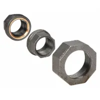 Threaded pipe fitting with 1-inch female NPT connections on both ends, made of malleable iron. Rated for maximum operating pressure of 2000 psi at 150°F. Used to join two female NPT threaded pipes in a straight line for high-pressure fluid or gas systems