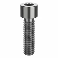 Socket Head Cap Screw: 1/4"-20 Thread Size, 7/8 in Lg, Std, Plain, Stainless Steel, 316 H5 (MPN ZSS61614C14)