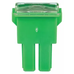 Female fast-acting cartridge fuse rated 40 A at 32 V DC. Green housing for identification. Provides overcurrent protection in automotive circuits, such as wiring and electronic modules.