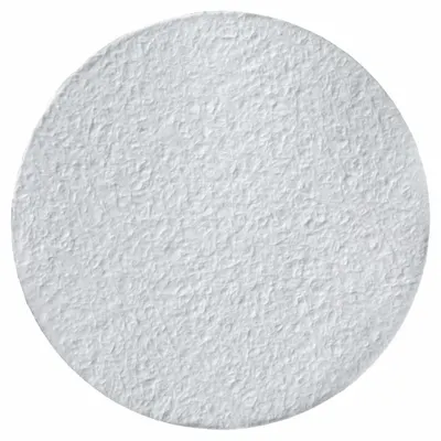 CYTIVA WHATMAN 934-AH Grade Glass Microfiber Filter, Binder Free, 4.7 cm, 1.5 µm - 934-AH Grade Glass Microfiber Filters, Binder Free