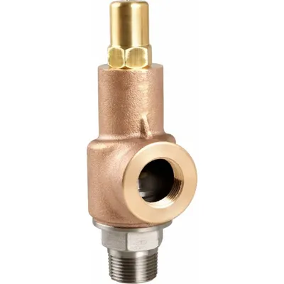 AQUATROL 69F1B1M2U1-600 Non-Code Pressure Relief Valve - Non-Code Air, Inert Gas & Liquids Pressure Relief Valves