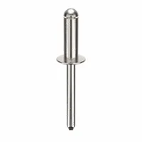 Inch-series domed-head blind rivet with 0.249" diameter, 2 4/91" length, 23/32" body length, and 2 3/64" overall length. Supplied in a 100-piece pack. Used for general-purpose fastening in metal fabrication, sheet-metal assembly, and similar applications requiring a permanent joint