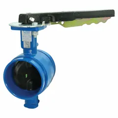 Ductile iron general-service butterfly valve with 3-inch pipe size, lever handle, and ductile iron disc. Rated for 300 psi CWP, with clamp connection and 3 bolt holes. Suitable for on-off or throttling flow control in industrial piping systems.