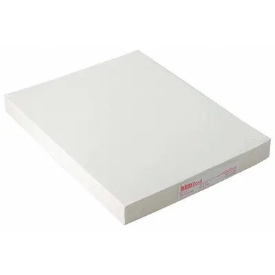 BERKSHIRE Multipurpose Paper: 11 in Sheet Wd, 8 1/2 in Sheet Lg, 45.95 lb Paper Wt - Cleanroom Paper