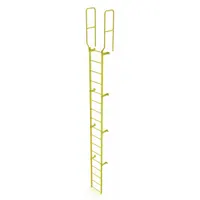 This single-section fixed ladder is constructed of steel with 17 rungs and an overall width of 28 inches. The walk-thru design allows users to step directly onto elevated surfaces without climbing over the top rung. Suitable for permanent installation in industrial environments requiring vertical access