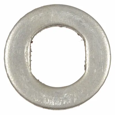 Dayton Gasket for Dewatering & Wastewater Pumps, Stainless Steel, PP26054560909G - Gaskets for Dewatering & Wastewater Pumps