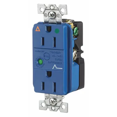 BRYANT Receptacle: Hospital Grade, Duplex, 5-15R, Blue, 125V AC, 15 A - General Purpose Receptacles