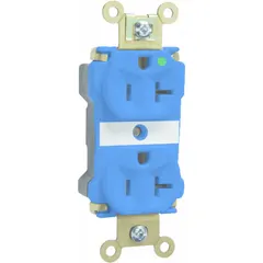 Duplex general purpose receptacle rated 125V AC, 20 A, 5-20R, 2 pole / 3 wire. Blue color. Suitable for use in commercial and institutional electrical systems requiring a 20A, 125V configuration.