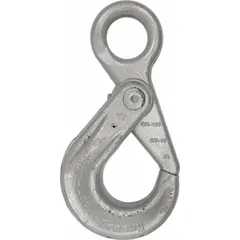 Alloy steel self-locking hook with eye plain configuration, 100 hook grade, and silver finish. Features visual indicator markings for deformation and max angle. Used in lifting and rigging applications where secure load attachment is required.