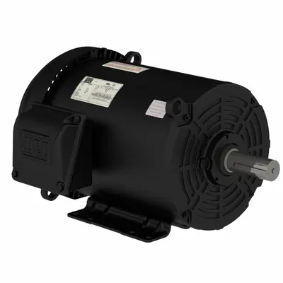 WEG General Purpose Motor: Rigid Base Mount, Totally Enclosed Air-Over, 20 hp - Rigid Base 3-Phase General Purpose AC Motors