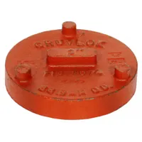 Grooved pipe fitting for sealing pipe ends in mechanical piping systems. Constructed of ductile iron with a 1 1/4 in nominal size and 1 1/4 in overall length. Rated for maximum operating pressure of 1000 psi. Suitable for use in fire protection, HVAC, and industrial piping applications