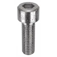 Socket Head Cap Screw: M10x1.50 Thread Size, 30 mm Lg, Std, NL-19, Stainless Steel, 18-8, 10 PK (MPN FBMSHCAPS101530P10)
