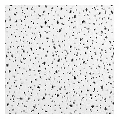 Ceramic ceiling tile designed for high-humidity environments. White finish with square lay-in edge for 15/16 in grid. Mold resistant. Suitable for locker rooms and other moisture-prone areas.