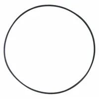 O-Ring for dewatering and wastewater pumps. Used as a sealing component between mating surfaces to prevent fluid leaks. Suitable for maintenance of industrial sump, sewage, and drainage pumps