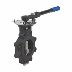 This carbon steel high-performance butterfly valve features a lug-style body with 4 bolt holes, a 2-1/2 in pipe size, an RPFTE liner, and a lever handle. Designed for steam media in industrial piping systems, it allows end-of-line isolation.