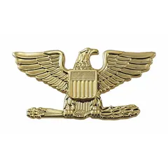 This metallic insignia features an eagle design in gold finish. Constructed of metal, it measures 1 inch and attaches via a pin and safety catch. Suitable for displaying rank on uniforms in ceremonial or service dress contexts.