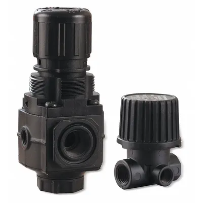 MI-T-M Adjustable Regulator: 22-0231 - Air Compressor Parts