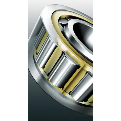 FAG BEARINGS Cylindrical Roller Bearing: 211, 55 mm Bore, 100 mm OD, 21 mm Overall Wd - High-Clearance Cylindrical Roller Bearings