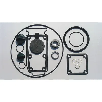 OEM Seal Kit: Mfr Part # 24D051, Dayton - Seal Kits for Dewatering & Wastewater Pumps