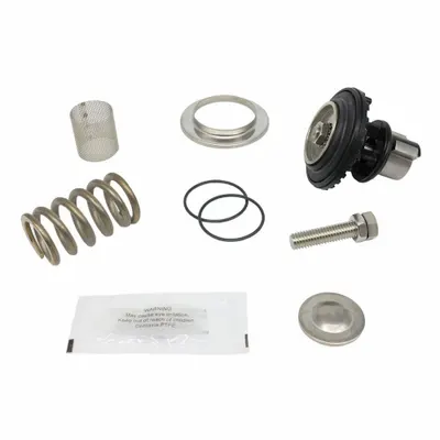 WILKINS Valve Repair Kit: EPDM/Resin/Rubber/Stainless Steel - Valve Repair Kits