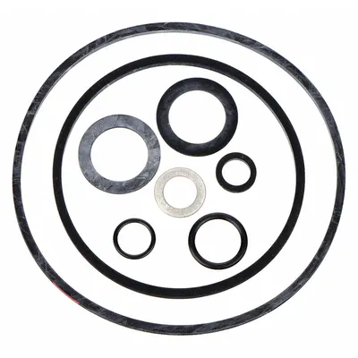 BALDWIN FILTERS Gasket Kit: Fuel Filter - Fuel Filter Accessories