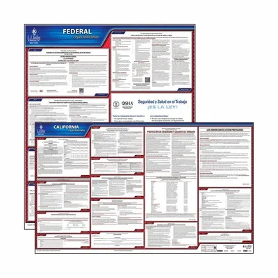 JJ KELLER Labor Law poster: CA, English, Polypropylene, 40 in x 24 in, FMLA /Y - All-in-One State & Federal Labor Law Posters
