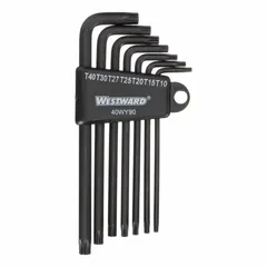 This 7-piece security Torx key set includes tip sizes T10, T15, T20, T25, T27, T30, and T40 with standard ends. The keys are stored in an organizer for convenient access. Commonly used for driving Torx fasteners in equipment maintenance and assembly tasks.