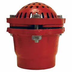 Cast iron foot valve with 2-inch NPT connections for pump suction lines. Designed to maintain pump prime and prevent backflow in water transfer, irrigation, and industrial pumping systems. Includes a strainer to protect the pump from debris.