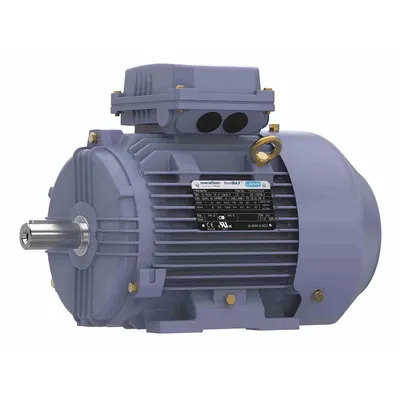 MARATHON MOTORS Rigid Base 3-Phase IEC Metric General Purpose AC Motor - Rigid Base 3-Phase IEC Metric General Purpose AC Motors