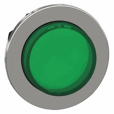 SCHNEIDER Extended Push Button: Green, 30 mm Mounting Size, Metallic - Illuminated Extended-Length Push-Button Operators