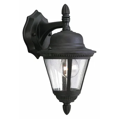 PROGRESS LIGHTING Wall Lantern: Incandescent, 60 W, 120V AC, 12 3/4 in Overall Ht - Bulb Dependent Decorative Wall Lights