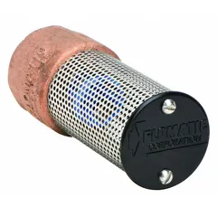 Bronze inline foot valve with 3/4-inch FNPT connections for pump suction lines. Features a stainless steel strainer and spring mechanism. Maximum cold working pressure 250 psi. Not full flow type.