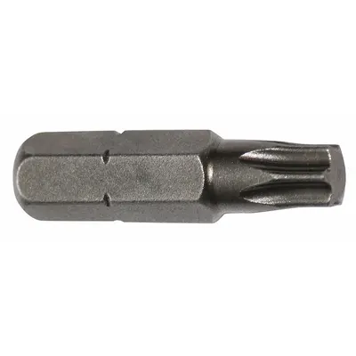 APEX Insert Bit: Insert Bit, T40 Bit Size, Imperial, Torx Head, T40 Bit Industry Size - Insert Torx Bits