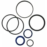 MAXIM Seal Kit: For 3 in Bore Dia, For 1 1/4 in Rod Dia, Mfr Part # 204503