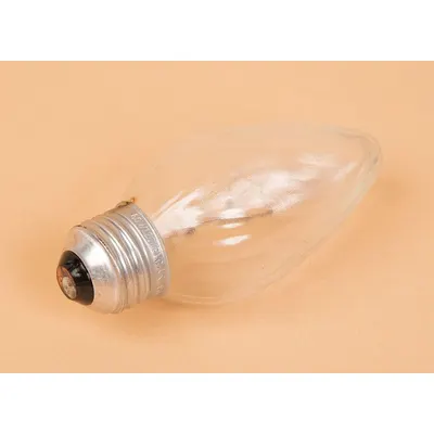 APW WYOTT Lamp AS-1505870 - APW Wyott Oven Replacement Parts