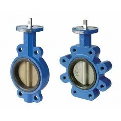Lug-style butterfly valve with ductile iron disc and bare stem, rated for 250 psi CWP. Designed for on-off or throttling control of water in industrial piping systems. Suitable for dead-end service and isolation at downstream flanges.