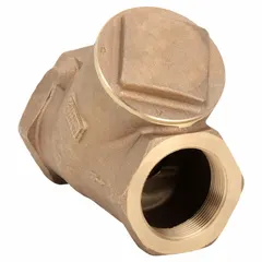 Bronze Y-style swing check valve with 2 in FNPT x FNPT connections. Designed for backflow prevention in piping systems handling water, oil, or gas.